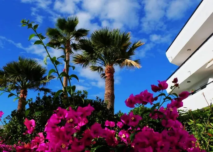 Mar Frente Al Mar, Americas | Limpistar شقة